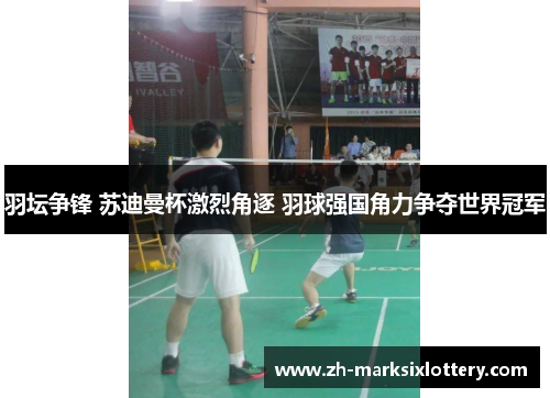 羽坛争锋 苏迪曼杯激烈角逐 羽球强国角力争夺世界冠军
